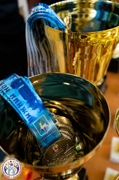 Две команды школы № 183 Сормовского района стали победителями фестиваля школьной лиги по флорболу Две команды школы № 183 Сормовского района стали победителями фестиваля школьной лиги по флорболу