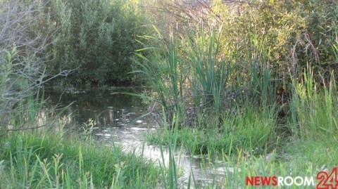 Дожди и похолодание до +11 градусов идут в Нижний Новгород Дожди и похолодание до +11 градусов идут в Нижний Новгород