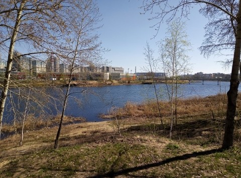 Жители Мещеры пожаловались на нестерпимую вонь Жители Мещеры пожаловались на нестерпимую вонь