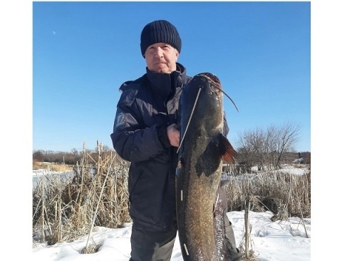 Сом в человеческий рост попался нижегородцу Сом в человеческий рост попался нижегородцу