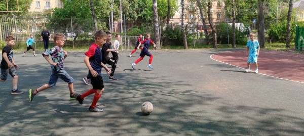 Фестиваль летних видов спорта прошел в Московском районе Фестиваль летних видов спорта прошел в Московском районе