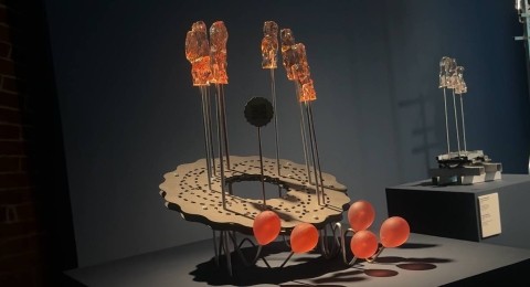 Посвященная защите экологии биеннале стартовала в Нижнем Новгороде