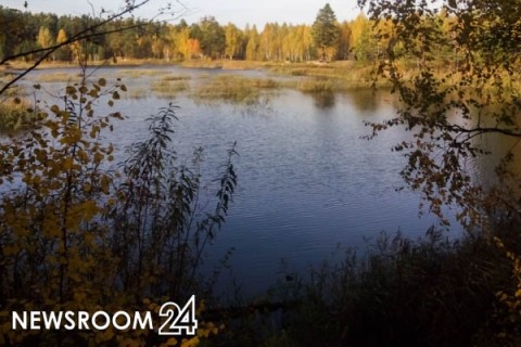 Эко-комплекс за 500 млн рублей построят в Сокольском районе Эко-комплекс за 500 млн рублей построят в Сокольском районе