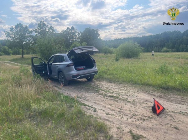 Гибель мальчика от автонаезда в лесу Дзержинска обернулась уголовным делом Гибель мальчика от автонаезда в лесу Дзержинска обернулась уголовным делом