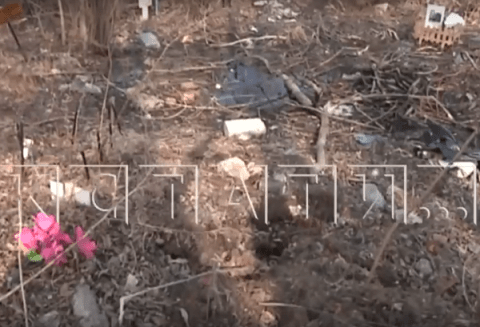 Черные маги облюбовали кладбище домашних животных в Нижнем Новгороде