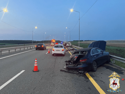 Двое погибли и шестеро ранены в ДТП на М-12 в Нижегородской области Двое погибли и шестеро ранены в ДТП на М-12 в Нижегородской области