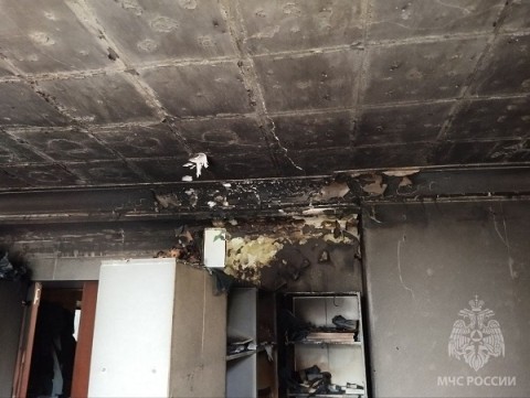 Пострадавшую на пожаре 4-летнюю девочку спасли нижегородские сотрудники МЧС Пострадавшую на пожаре 4-летнюю девочку спасли нижегородские сотрудники МЧС