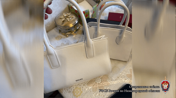 Обнародовано видео из квартиры подозреваемого экс-главы нижегородского ГУММиД