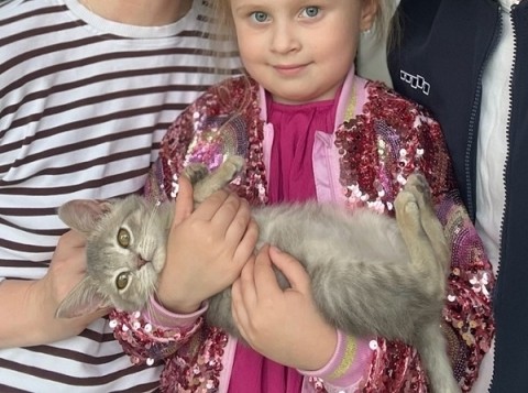 Глава Городецкого округа Мудров подарил дочке котёнка из приюта
Глава Городецкого округа Мудров подарил дочке котёнка из приюта