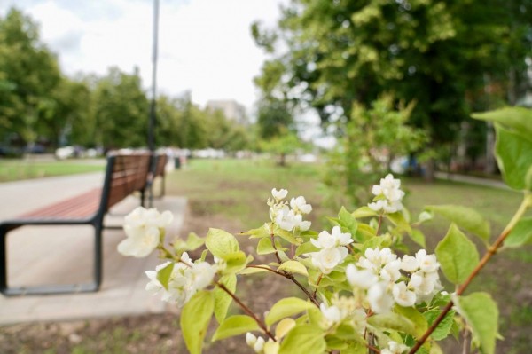 Юрий Шалабаев вместе с жителями проверил, как идет благоустройство пространств на улице Веденяпина и у Автозаводского универмага Юрий Шалабаев вместе с жителями проверил, как идет благоустройство пространств на улице Веденяпина и у Автозаводского универмага