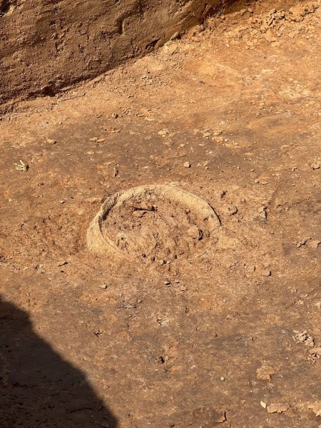 16 погребений и захоронение коня обнаружили при раскопках в Вачском районе 16 погребений и захоронение коня обнаружили при раскопках в Вачском районе