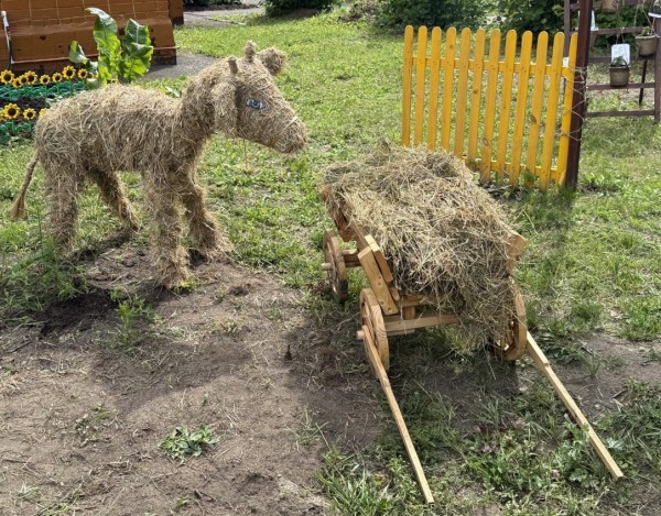 10 детских садов победили в конкурсе «На лучшую организацию летней оздоровительной работы» Автозаводского района Нижнего Новгорода 10 детских садов победили в конкурсе «На лучшую организацию летней оздоровительной работы» Автозаводского района Нижнего Новгорода