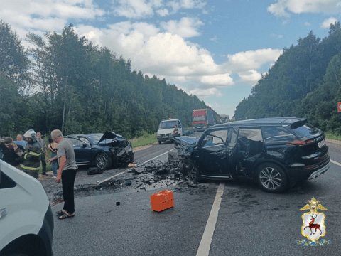 Опубликованы подробности смертельной аварии на М-7 в Нижегородской области Опубликованы подробности смертельной аварии на М-7 в Нижегородской области