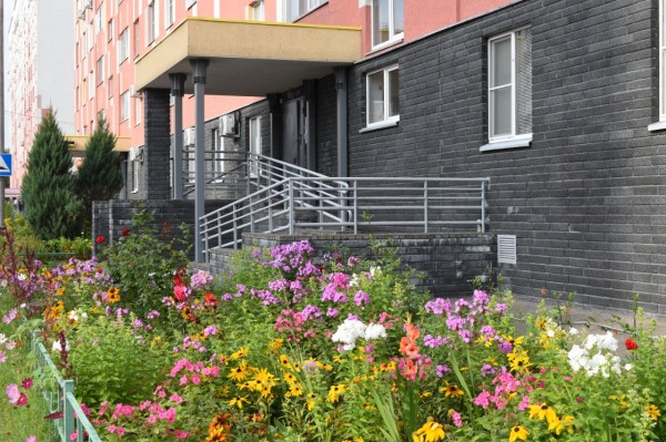 Более 200 автозаводцев участвуют в конкурсе благоустройства дворовых территорий «Я здесь живу, я здесь творю!» Более 200 автозаводцев участвуют в конкурсе благоустройства дворовых территорий «Я здесь живу, я здесь творю!»