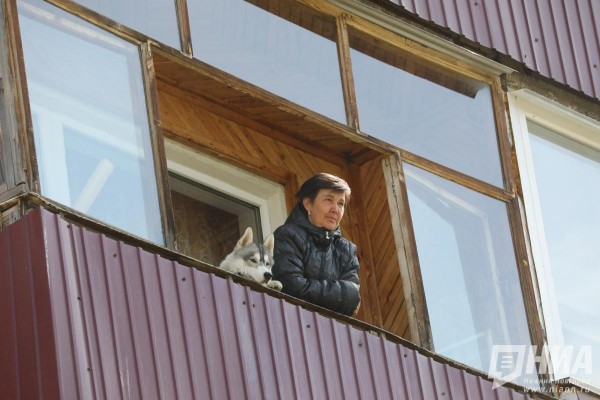 После тысячи жалоб: в ЗСНО предлагают наказывать за самовыгул собак