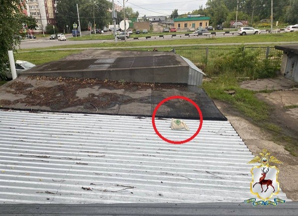 Появились фото с места преступления после двойного убийства в Нижнем Новгороде Появились фото с места преступления после двойного убийства в Нижнем Новгороде