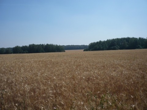 Жара в +28 градусов идет в Нижний Новгород Жара в +28 градусов идет в Нижний Новгород