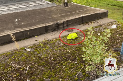 Появились фото с места преступления после двойного убийства в Нижнем Новгороде Появились фото с места преступления после двойного убийства в Нижнем Новгороде