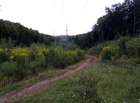 Земельные участки могут изъять у нижегородцев по новым правилам с 1 сентября Земельные участки могут изъять у нижегородцев по новым правилам с 1 сентября