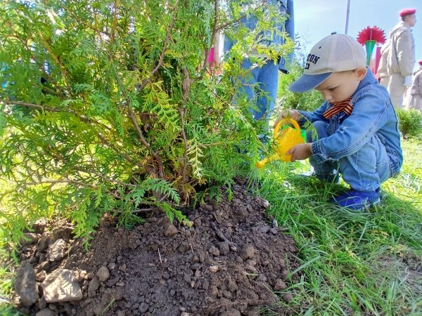 Более 50 деревьев высадили на Аллее защитникам Отечества в православном детском саду в Ленинском районе Более 50 деревьев высадили на Аллее защитникам Отечества в православном детском саду в Ленинском районе