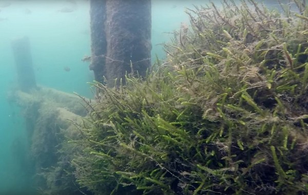 Подводные пещеры и старинный мост обнаружили на дне озера Тосканка Подводные пещеры и старинный мост обнаружили на дне озера Тосканка