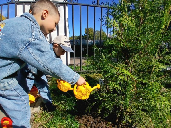 Более 50 деревьев высадили на Аллее защитникам Отечества в православном детском саду в Ленинском районе Более 50 деревьев высадили на Аллее защитникам Отечества в православном детском саду в Ленинском районе