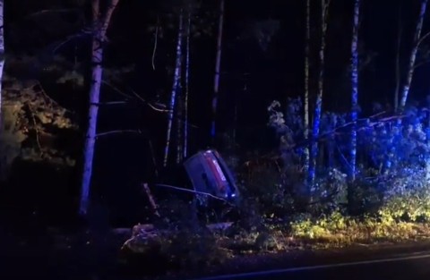 Один погиб и один пострадал в страшном ДТП с лосем в Борском районе Один погиб и один пострадал в страшном ДТП с лосем в Борском районе