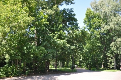 Круглогодичный глэмпинг-парк планируют возвести на Бору Круглогодичный глэмпинг-парк планируют возвести на Бору