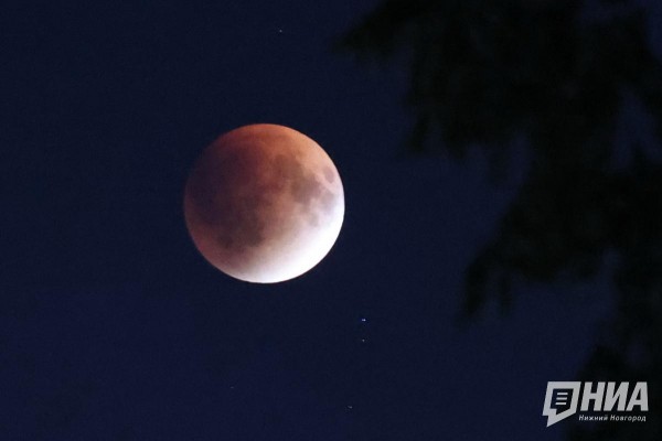 Фотограф запечатлел "кровавую" Луну над Нижним Новгородом Фотограф запечатлел "кровавую" Луну над Нижним Новгородом