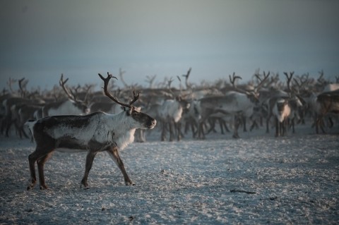 Вместе в цифровое будущее: стартует юбилейный конкурс «Ростелекома» для региональных ИТ-журналистов и блогеров Вместе в цифровое будущее: стартует юбилейный конкурс «Ростелекома» для региональных ИТ-журналистов и блогеров