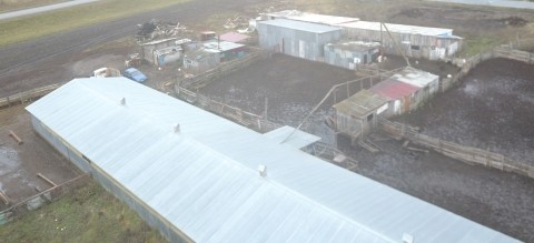 4 объекта животноводства проверили с помощью БПЛА в Нижегородской области 4 объекта животноводства проверили с помощью БПЛА в Нижегородской области