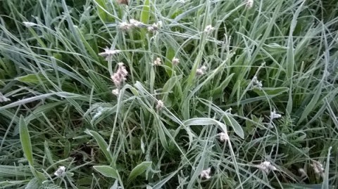 Резкое похолодание до -2 градусов идет в Нижний Новгород Резкое похолодание до -2 градусов идет в Нижний Новгород