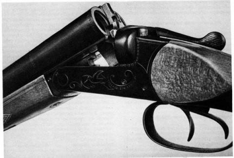 Житель Кулебак осужден на 9 лет колонии за стрельбу из ружья по детям Житель Кулебак осужден на 9 лет колонии за стрельбу из ружья по детям