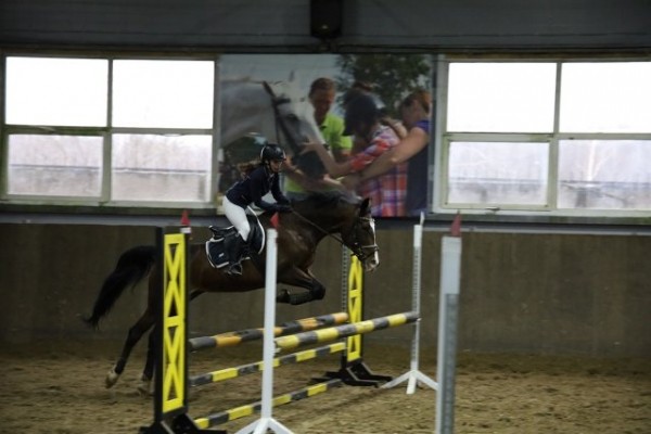 Более 50 юных всадников приняли участие в соревнованиях по конкуру «Кубок муниципального центра «Надежда-2025» Более 50 юных всадников приняли участие в соревнованиях по конкуру «Кубок муниципального центра «Надежда-2025»