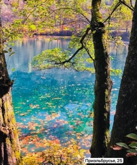 Стало известно, чем занимается экс-гендиректор «Пари-НН» Мелик-Гусейнов Стало известно, чем занимается экс-гендиректор «Пари-НН» Мелик-Гусейнов