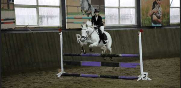 Более 50 юных всадников приняли участие в соревнованиях по конкуру «Кубок муниципального центра «Надежда-2025» Более 50 юных всадников приняли участие в соревнованиях по конкуру «Кубок муниципального центра «Надежда-2025»