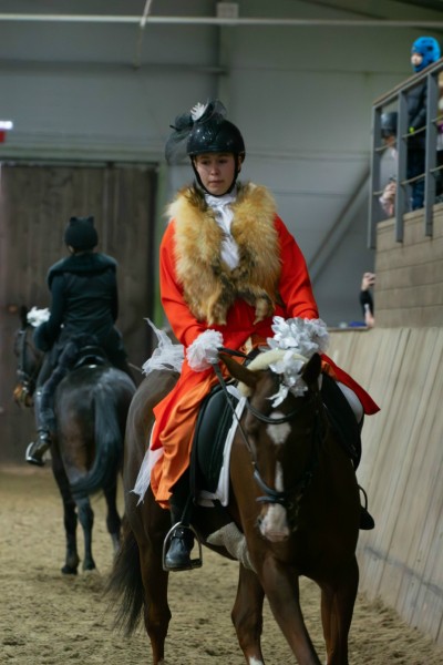 Более 200 зрителей посмотрели масштабное костюмированное конное шоу и праздничное представление «Баба Яга ищет свою сказку» в городском зооцентре «Надежда» Более 200 зрителей посмотрели масштабное костюмированное конное шоу и праздничное представление «Баба Яга ищет свою сказку» в городском зооцентре «Надежда»