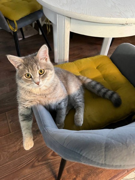 Александр Мудров: "Надоело быть нерешительным органом власти"