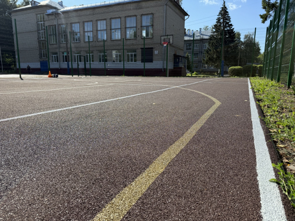 Четыре спортивные площадки установили в автозаводских школах по проекту «Вам решать!» в 2025 году Четыре спортивные площадки установили в автозаводских школах по проекту «Вам решать!» в 2025 году