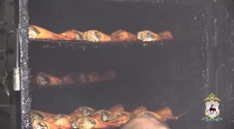 Три тонны сомнительной рыбы изъяли у предпринимателя в Чкаловском округе