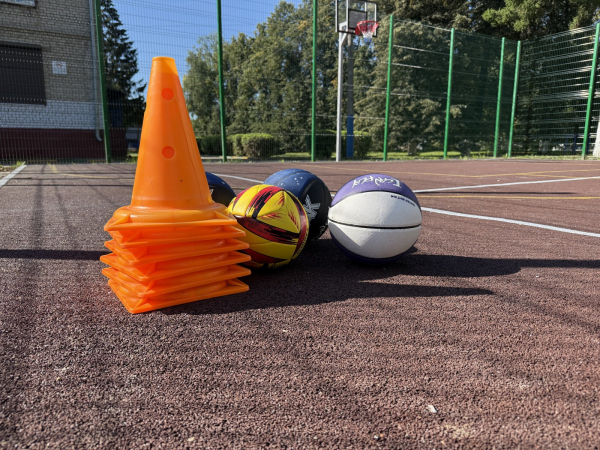 Четыре спортивные площадки установили в автозаводских школах по проекту «Вам решать!» в 2025 году Четыре спортивные площадки установили в автозаводских школах по проекту «Вам решать!» в 2025 году