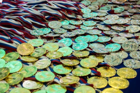 Нижегородские власти планируют учредить медаль за поддержку СВО Нижегородские власти планируют учредить медаль за поддержку СВО