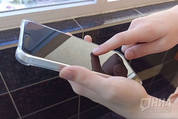 Почти 100 тысяч нижегородцев подключились к личному кабинету налогоплательщика