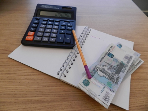 Почти полмиллиарда рублей алиментов взыскали с нижегородских должников