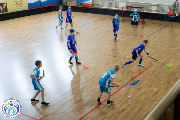 Две команды школы № 183 Сормовского района стали победителями фестиваля школьной лиги по флорболу Две команды школы № 183 Сормовского района стали победителями фестиваля школьной лиги по флорболу